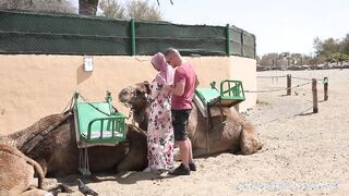 Gigászi cickós arab bige hancúrozása