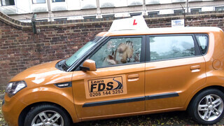 Fake Driving School - Louise Lee imádja a termetes rúdat